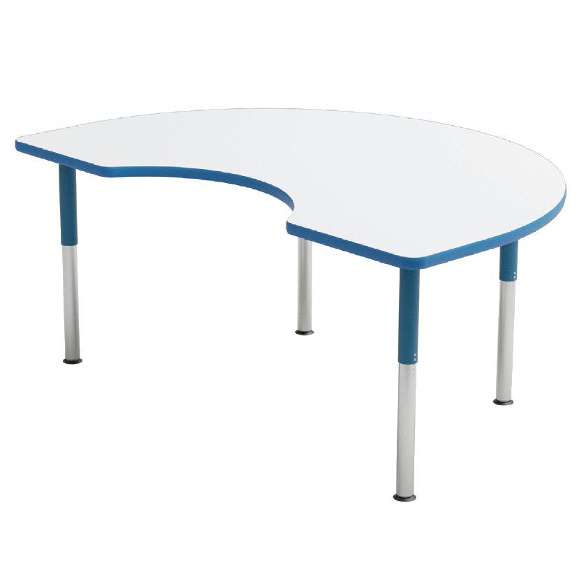 Kidney Activity Table